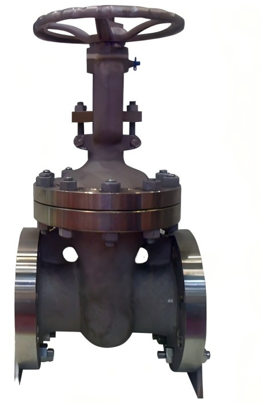 Monel alloy gate valve, gate valve