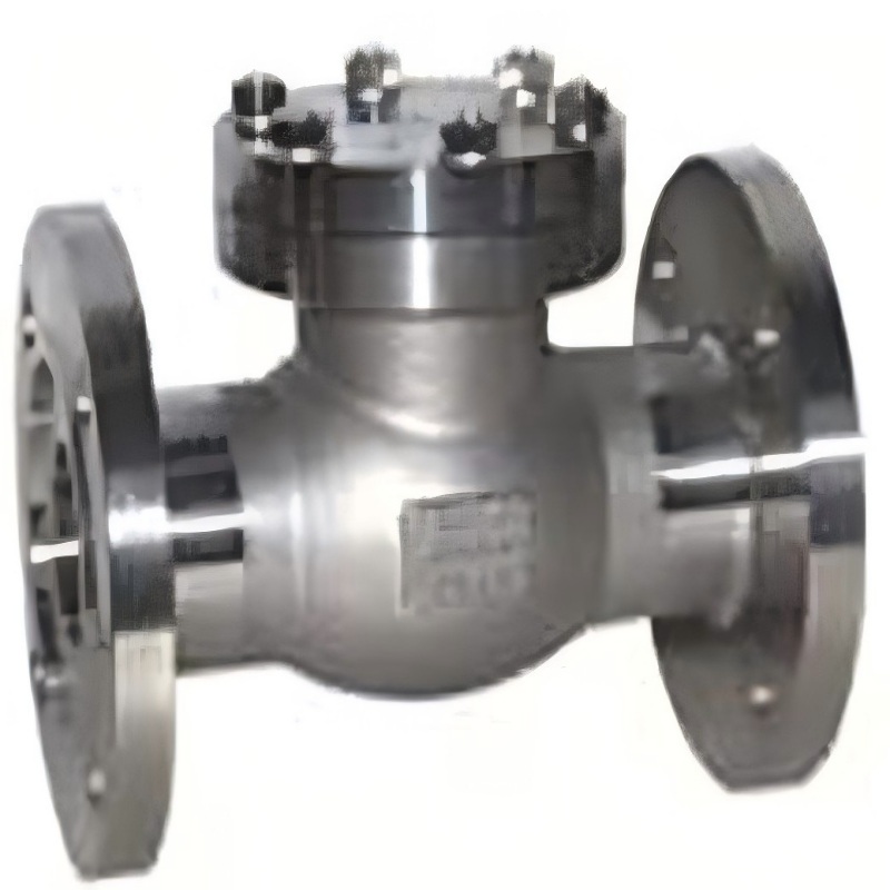 DH41F-40P Low-temperature Stainless Steel Check Valve, Stainless Steel Check Valve, Check Valve