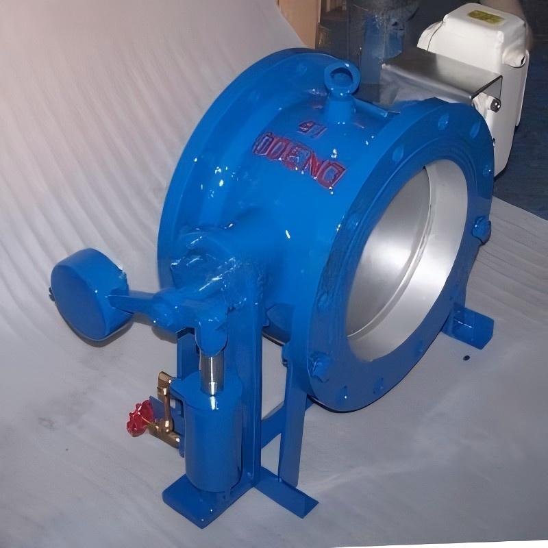 Butterfly type buffer check valve, buffer check valve, check valve