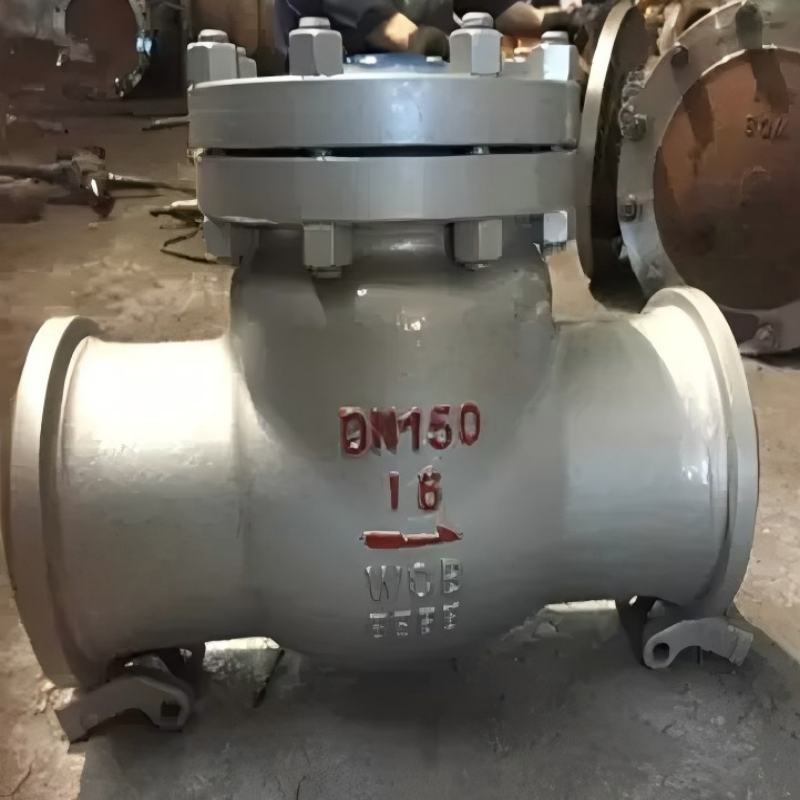 Flange stainless steel swing check valve, swing check valve