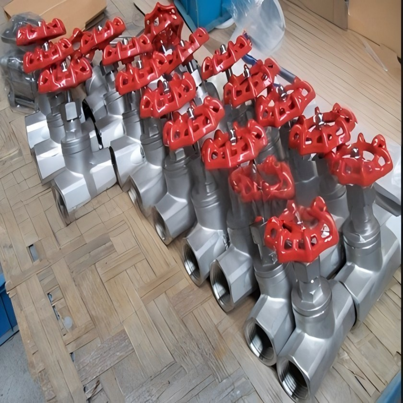 2205 Duplex Steel Wire-Threaded Shut-off Valve, Threaded Shut-off Valve, 2205 Shut-off Valve