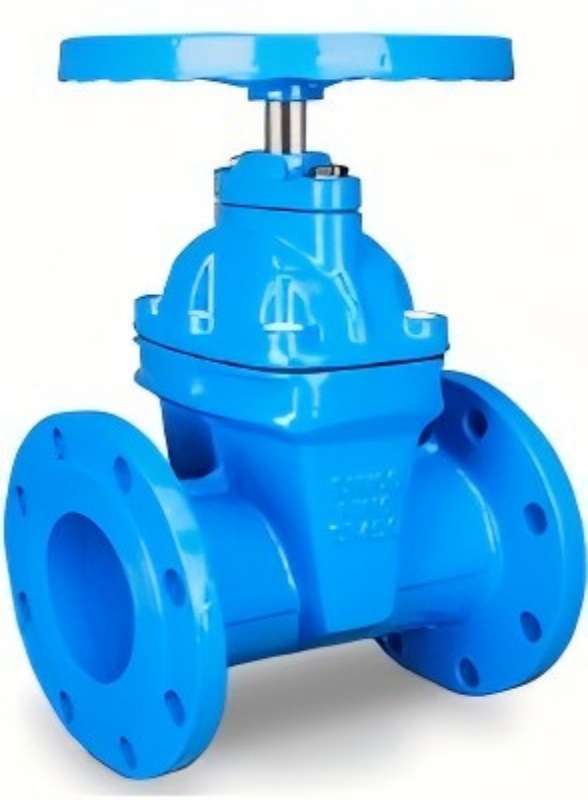 Sewage flange gate valve, flange gate valve, gate valve