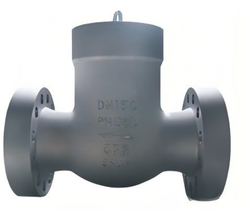 High pressure check valve, check valve