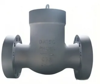 High pressure check valve, check valve