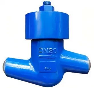 Forged lift check valve, lift check valve, check valve