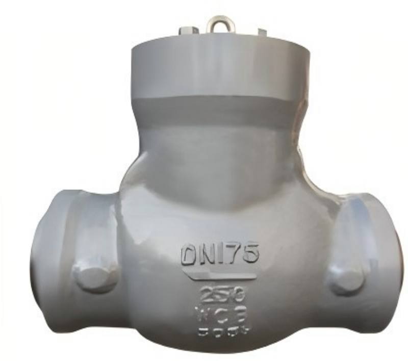 High-pressure swing check valve, swing check valve, high-pressure check valve, check valve