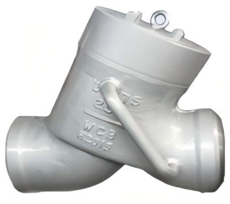 Y-type check valve, check valve
