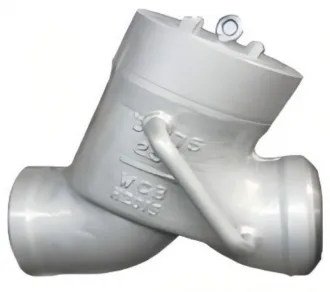 Y-type check valve, check valve