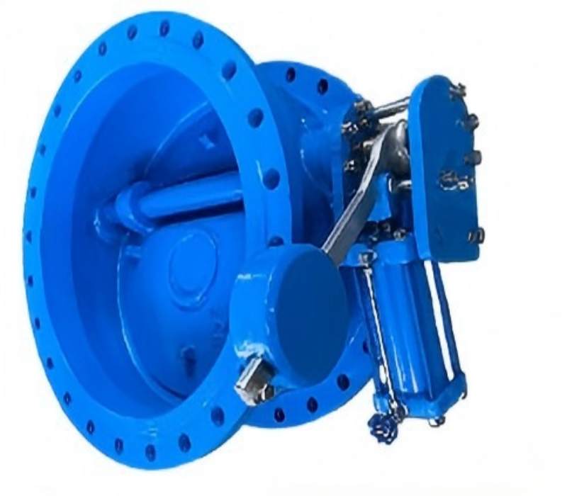Butterfly type slow-closing check valve, slow-closing check valve, butterfly type check valve, check valve