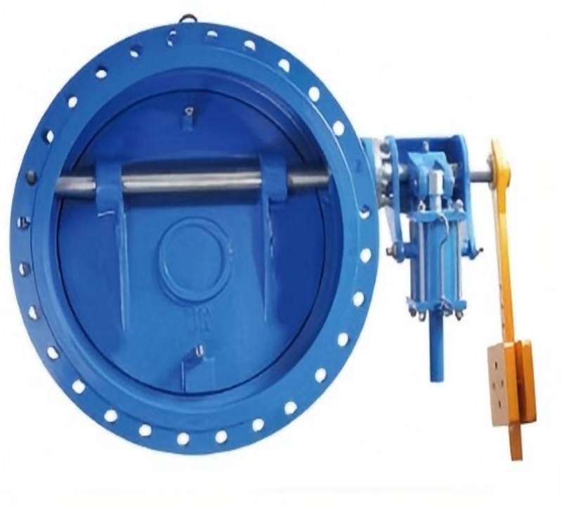Butterfly slowly closing check valve, slowly closing check valve, butterfly type check valve, check valve,