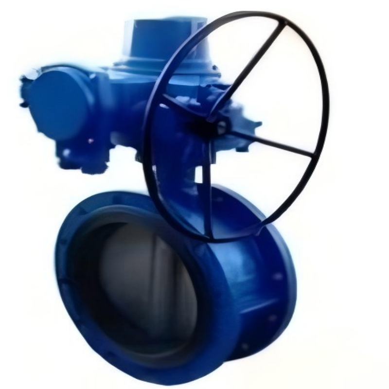 Fluorine rubber butterfly valve, butterfly valve