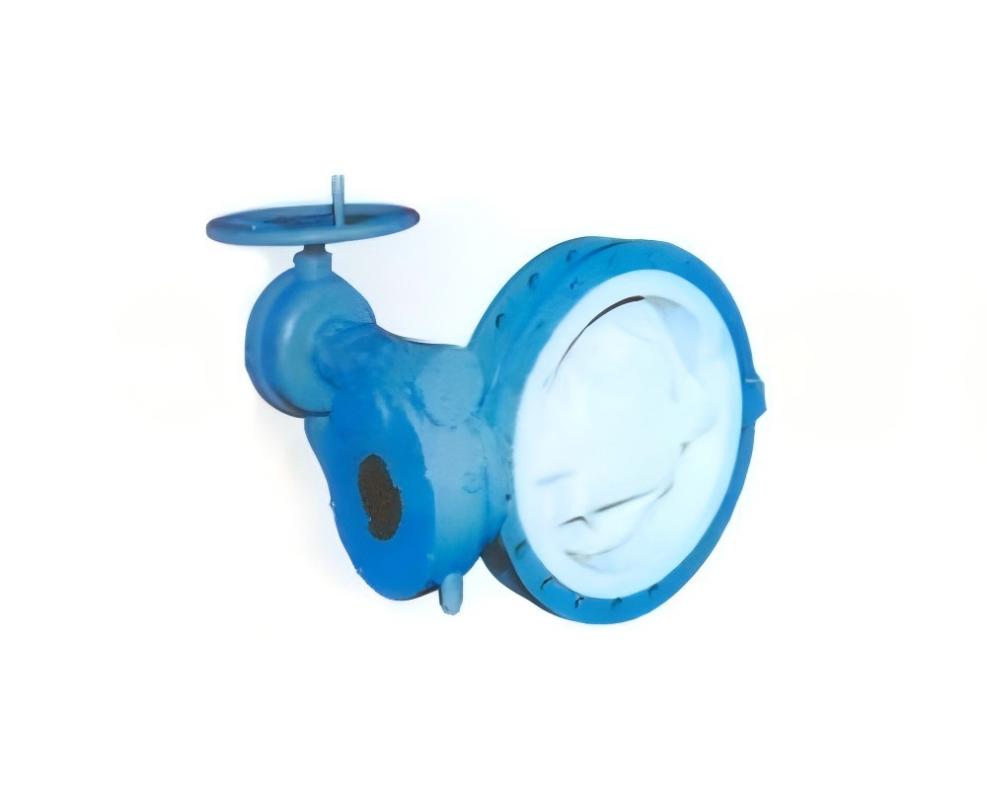 Elastic seat butterfly valve, butterfly valve