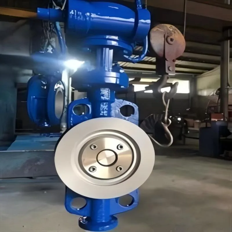 Hard seal worm to clip butterfly valve, worm to clip butterfly valve, to clip butterfly valve
